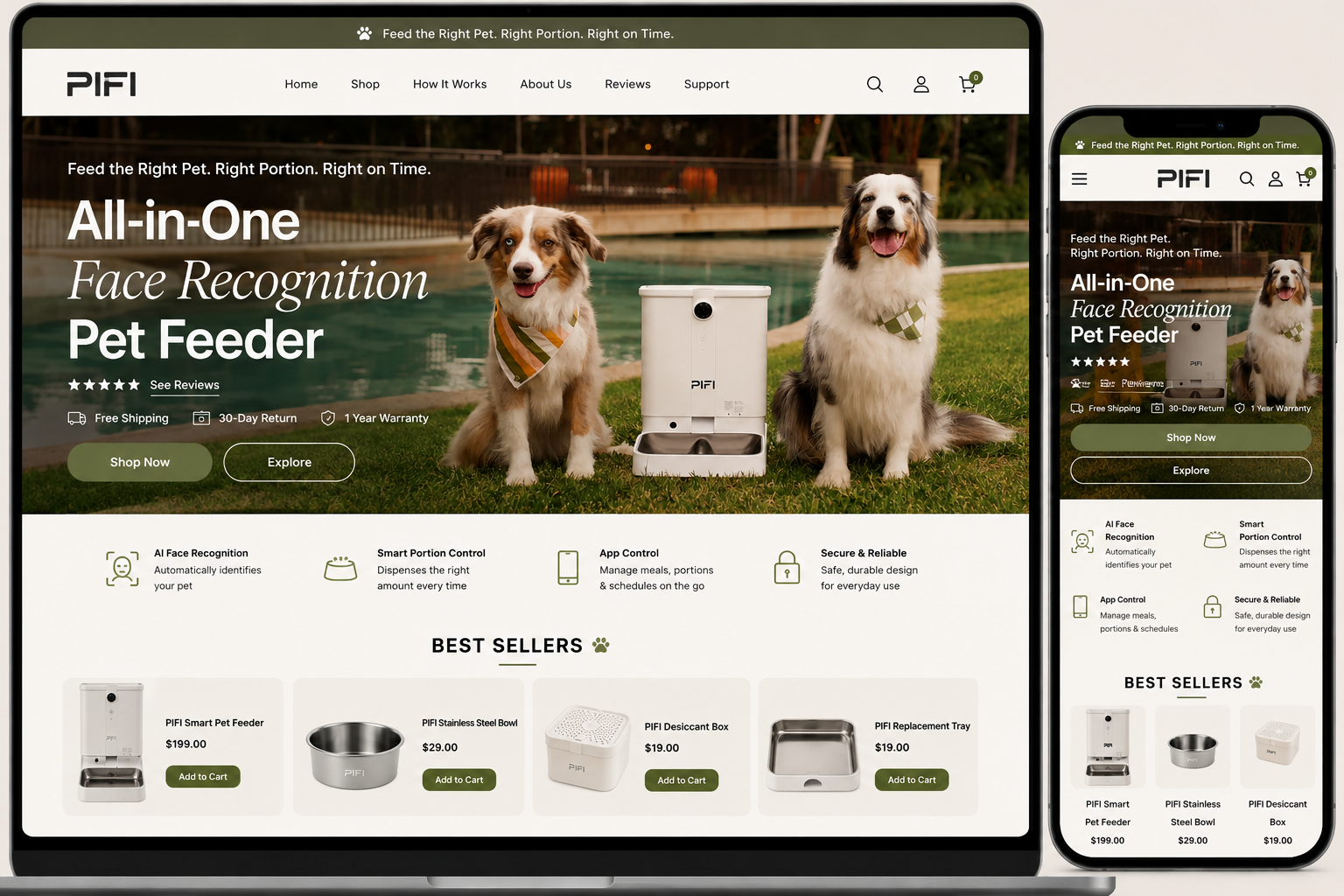 PIFI Shopify store mockup